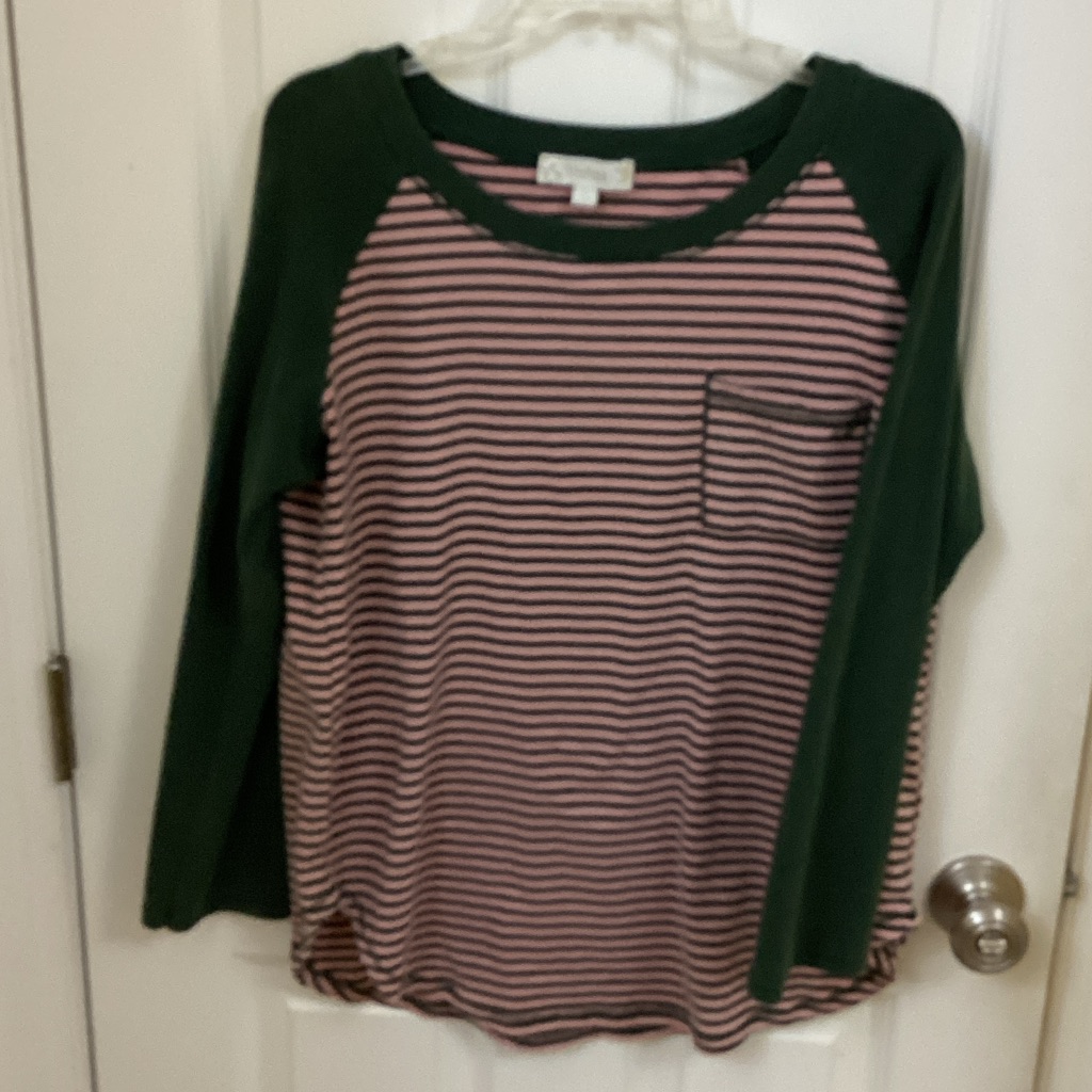 Suzanne Betro Pink & Forest Green Striped Raglan Long Sleeve Top